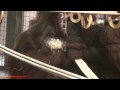 Philadelphia Zoo Orangutans - Sugi Loving Look at Tua and Batu