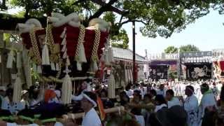 ２０１３年百舌鳥八幡宮ふとん太鼓（赤畑町　宮入-5）