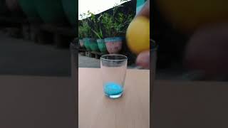 science easy experiment || simple experiment do at home || #short#E_bull_jet#yt