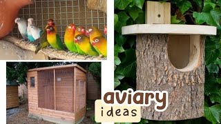 20+ Bird Aviary Ideas From Pinterest