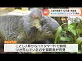 人間でいうとおよそ120歳…24歳のおばあちゃんコアラ「クレメンツ」天国へ 15日から献花台　名古屋・東山動植物園　 2022 11 14