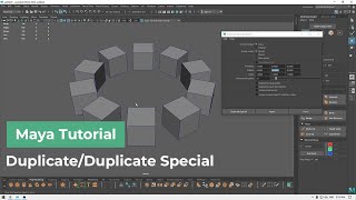 Maya Tutorial for Beginners - Duplicate/Duplicate Special