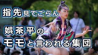 【阿波踊り2024】モモと言われる集団　阿波おどり　娯茶平