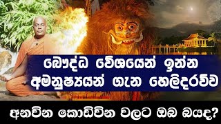 කහ සියුරට මුවාවී ඉන්න අමුනුශ්‍යයෝ - sri lankawe budu dahame vinashayada