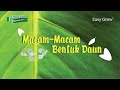 Macam-Macam Bentuk Daun Pada Tanaman