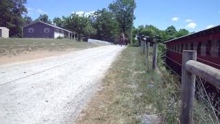 M4H04333.MP4