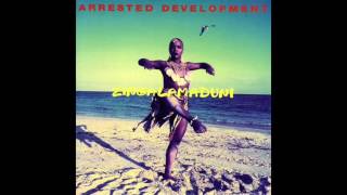 Arrested Development ‎– United Front - Zingalamaduni