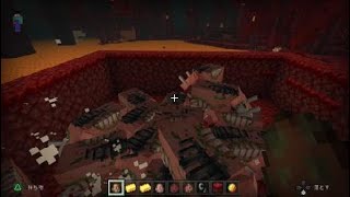 Minecraft　ピグリンとゾグリンを戦わせてみた。