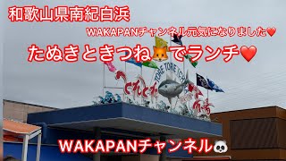 和歌山県南紀白浜　たぬきときつね🦊でランチ❤️WAKAPANチャンネル🐼