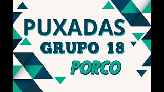 Puxadas Grupo 18.Porco