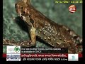 বাংলার বন বাংলার প্রানী ডলছড়ি মৌজা বন পর্ব ০১ channel 24 youtube