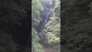 宮ヶ瀬ダム下のひっそりと流れ落ちる小滝