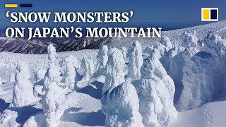 Japan’s bizarre ‘snow monsters’ attract tourists to Mount Zao