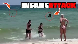 FEARLESS Sharks tore helpless tourists in pieces