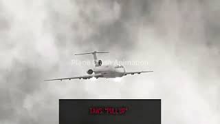 Polish Flight 101 - CVR + Animation