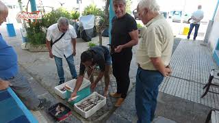 Pesce fresco appena pescato nel borgo San Gregorio, Capo d'Orlando