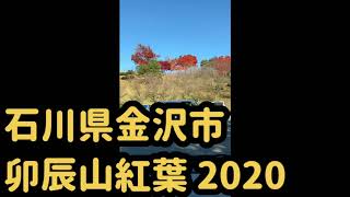 石川県金沢市卯辰山‼️紅葉【うたつやま】‼️自動車からの前面車窓‼️ 花田秀次郎さん提供動画‼️🙇2020年11月18日‼️😂