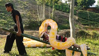 VIDEO FULL: Mutant Life - Rescue Girl Attacked by Giant Python | Catch King Cobra | Anaconda attack.