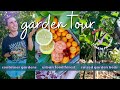 3 Edible Gardening Styles 🌿 Urban Permaculture Garden Tour November