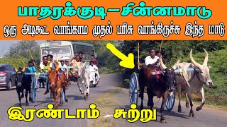 ETSS reckla race - பாதரக்குடி (சின்னமாடு இரண்டாம் சுற்று-27.12.2021) bulls race