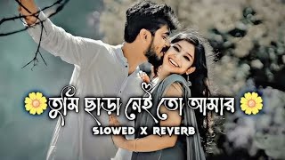 তোমায় ছেড়ে যাবো বলো কোথায় 💞💞💞#official sudipta#shodt​#video​#viral​#ngajionline​ #সবাই​#public