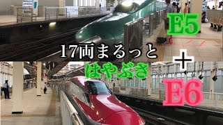 東北新幹線 E5系+E6系 はやぶさ112号 東京ゆき到着@仙台