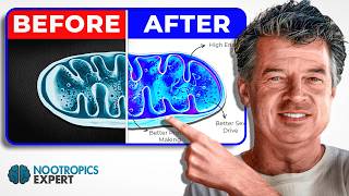 7 POWERFUL Supplements to BOOST Your Mitochondria | Energy & Brain Performance