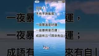 「其來有自」拾穗之悅～2022年4月4日