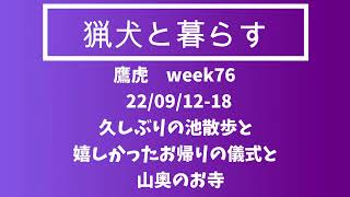 「猟犬と暮らす」week76