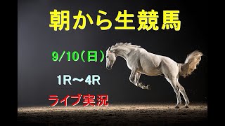 【中央競馬】　朝から生競馬　ライブ配信　（中山→阪神）Horse Racing Commentary