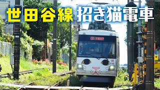 のりもの事典　「幸福の招き猫電車」東急世田谷線 猫耳付きました　300系