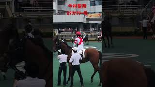 今村聖奈　ｶﾀﾘﾅﾏﾘｰ号　パドック風景① 20220919中京競馬1R