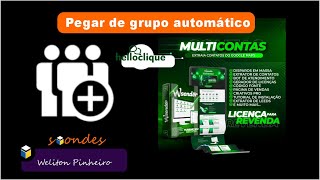 WaSender para whatsapp - Pegar de grupo automático