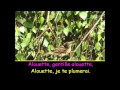 Karaoke Enfants 2 - Alouette