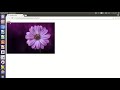 JavaScript DOM 2 - Changing attribute values of the elements