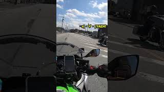 ヤエー大型バイク乗りさんぎりぎり気づいてくれた#shorts