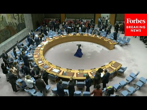 Russia Vetoes UN Security Council Resolution Condemning Invasion Of ...