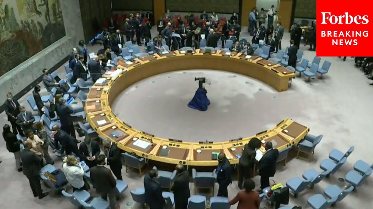 Russia Vetoes UN Security Council Resolution Condemning Invasion Of ...