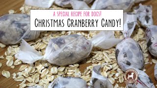 Christmas Cranberry Candy Recipe (for dogs!)