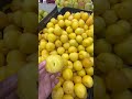 MIRABELLE PLUM | YELLOW PLUM #fresh  #fruit  #freshproduce #viral #shorts