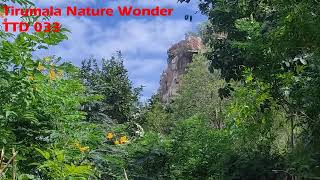 Tirumala Nature Wonder, See the Face of Sri Venkateswara Swami, TTD 033