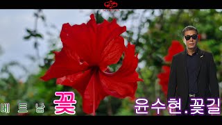 꽃길.윤수현(가사포함).SCPOTV