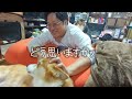 【乗組員！】これを見ればあなたも乗組員…愛を独り占めしたいコーギーと柴犬＆動かぬ猫