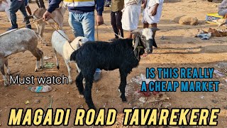 Magadi Road Tavarekere Sheep Goat and Aseel Market Full Detail Video