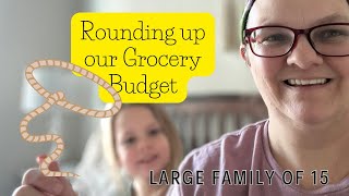 How much did I spend to feed my VERY LARGE FAMILY?