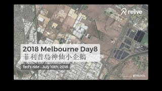 2018 Melbourne Day8 菲利普島神仙小企鵝