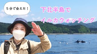 下北半島でイルカウォッチング　むつ市／陸奥湾／漁船