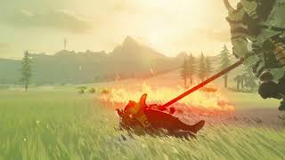 Everyone When They First Get The Lynel Mask