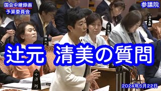 【国会中継録画】辻元 清美 予算委員会 質疑（2024/05/22）