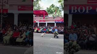 #suchetgarh indo-pak border#dog parade#indian army#independence day 2023